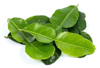 Makrut Lime Leaf