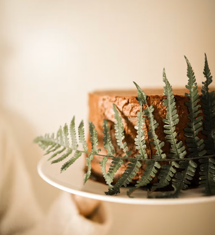 Chocolate Cake on a plate with a large fern wrapped around it