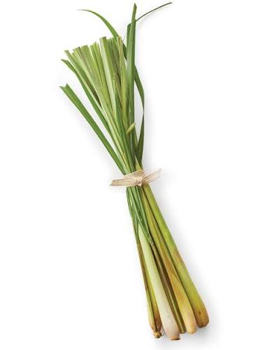 Lemongrass